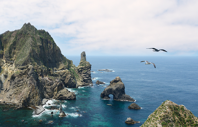 갈매기가 날아다니는 섬과 바다 풍경사진