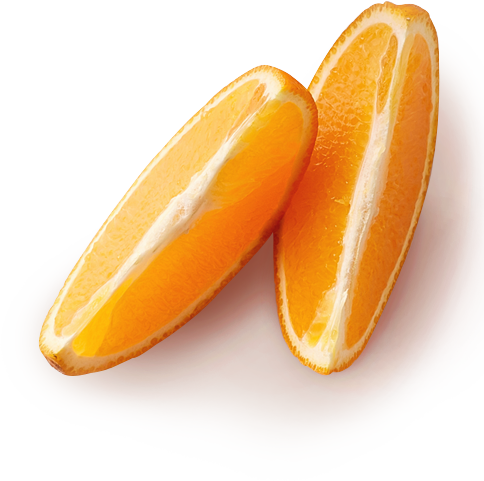 슬라이스된 오렌지 2조각 사진